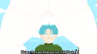 Dragon Ball Z Cartoon Pixel Porn - Bulma Brief Visit