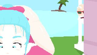 Dragon Ball Z Cartoon Pixel Porn - Bulma Brief Visit
